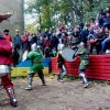 Студенти Історико-філософського факультету відвідали фестиваль лицарських боїв