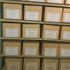 Екскурсія до Центрального державного архіву вищих органів влади та управління й Музею становлення української нації