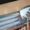 Зустріч з представниками Командування Сил територіальної оборони Збройних Сил України, лейтенантом п. Вітою Титаренко (професором кафедри)