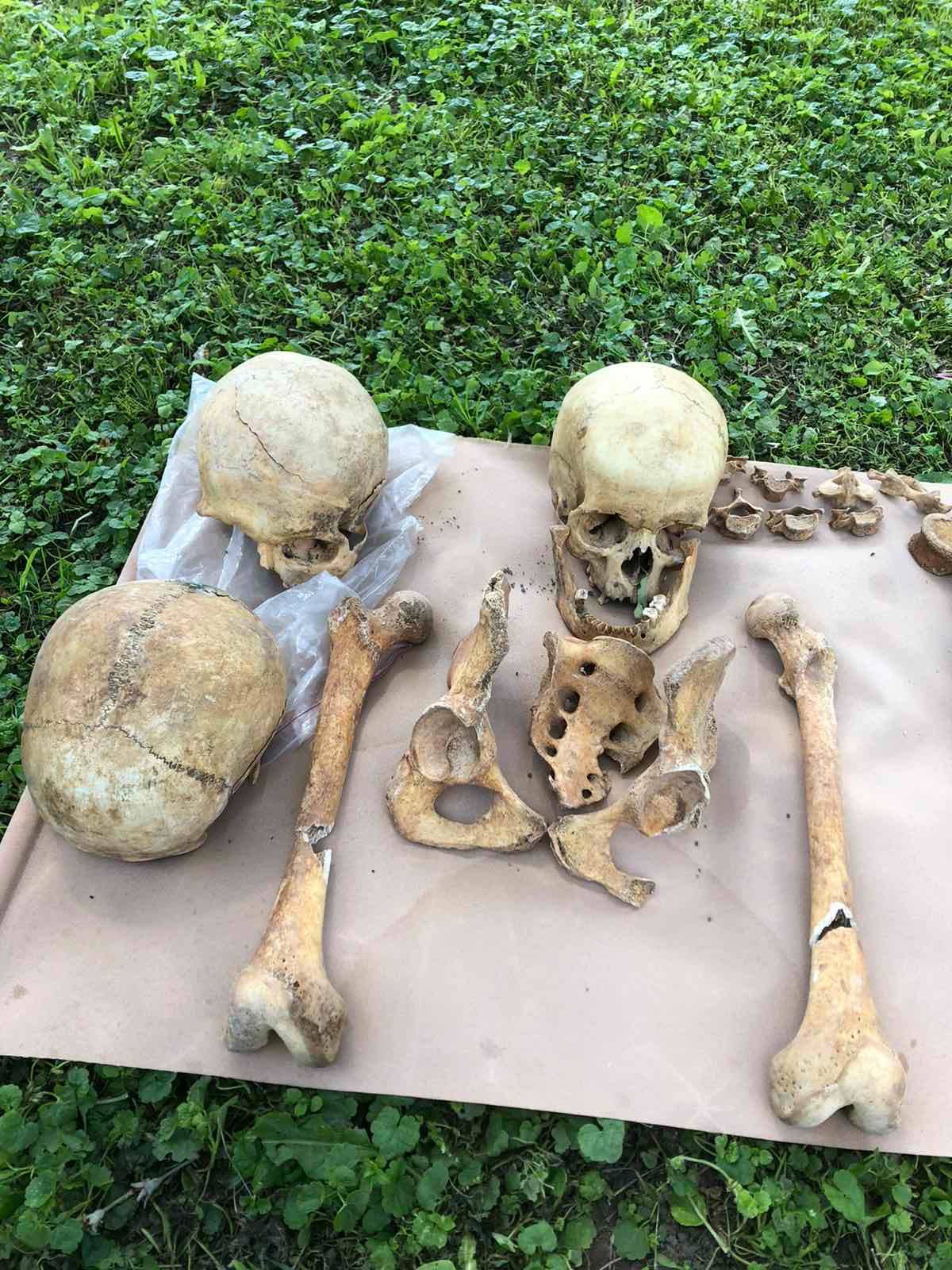 195861584 388289335838025 1897458317777634092 n